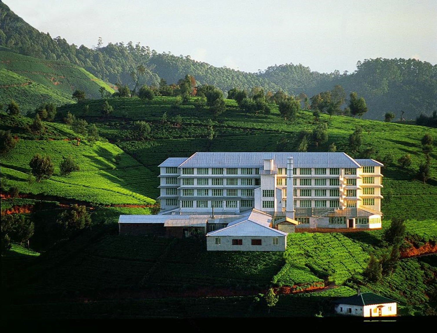 Sri Lanka **** Wypoczynek na plantacji herbaty